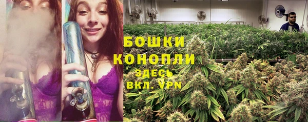 2c-b Богданович